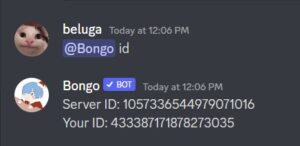 How to Use Bongo Discord Bot [Bongo Bot Commands] | CyberITHub