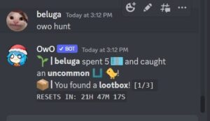 How to Use OwO Discord Bot [OwO Bot Commands] | CyberITHub