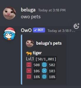 How to Use OwO Discord Bot [OwO Bot Commands] | CyberITHub